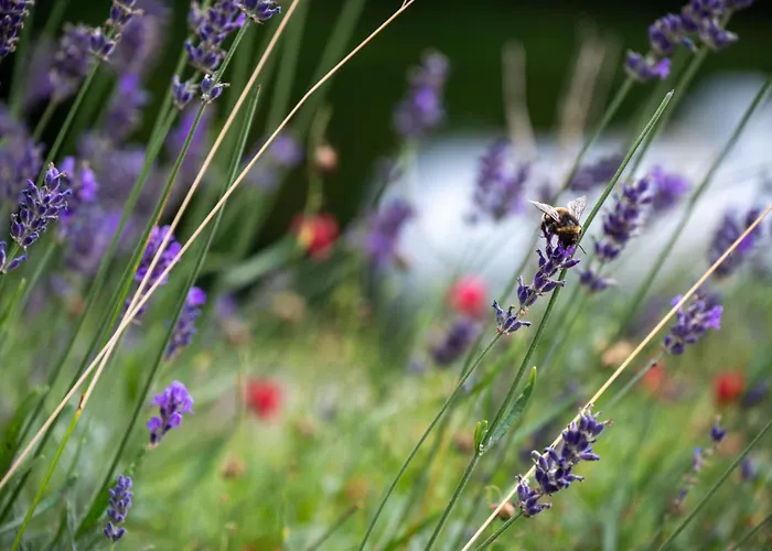 Le Loft Du Samson Gesves